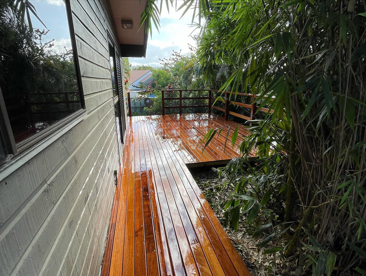 Wraparound timber deck through tropical garden